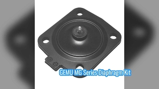 Κιτ διαφράγματος GEMU MG8 MG10 MG25 MG40 MG50 MG65 MG80 MG100 EPDM FDA για βαλβίδες διαφράγματος GEMU
