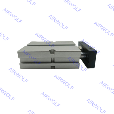 TN20X90S TN20X100S TN20X125S Σειρά TN AirTAC Διπλής δράσης κυλίνδρος δύο ράβδων